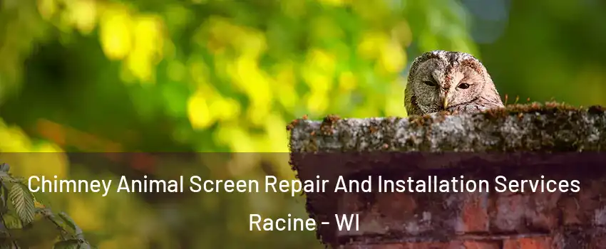  Chimney Animal Screen Repair And Installation Services Racine - WI