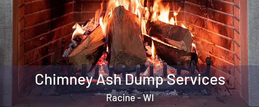  Chimney Ash Dump Services Racine - WI