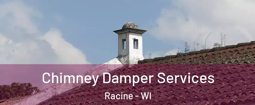  Chimney Damper Services Racine - WI