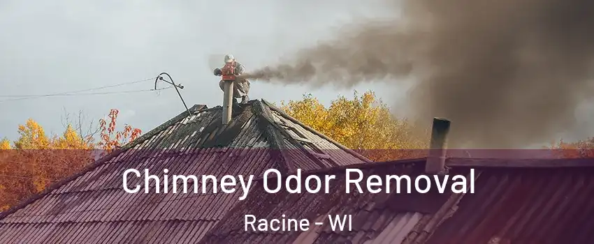  Chimney Odor Removal Racine - WI