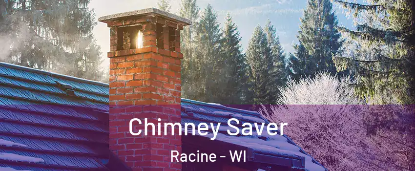  Chimney Saver Racine - WI