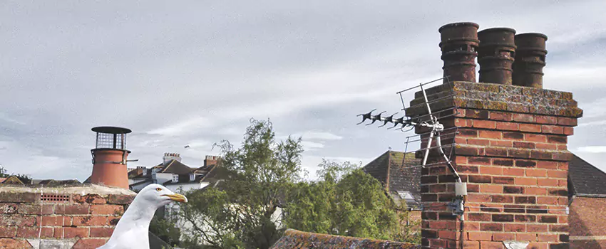 Chimney Cleaning And Restoration in Racine, Wisconsin