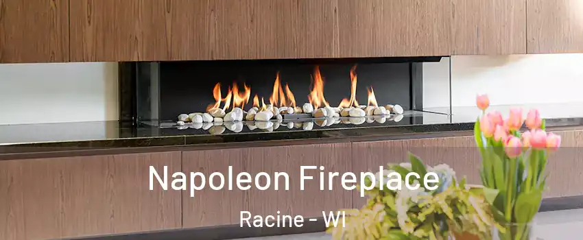  Napoleon Fireplace Racine - WI